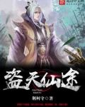盗天仙途无弹窗