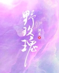 野玫瑰舒伯特钢琴曲