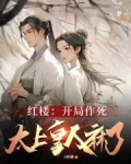 红楼：开局作死，太上皇人麻了
