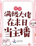 快穿：满级大佬在末日当主播