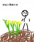 我在六零种大米免费