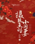摄政王的小闲妻穆九