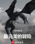 最完美的冒险