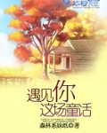 遇见你这是什么歌