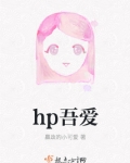 hp吾爱百度