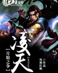 月阳之争——凌天