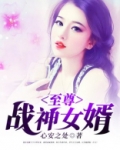 至尊战神女婿短剧免费观看