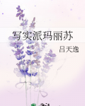 写实派玛丽苏