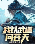 我以武道问苍天 当年若是