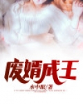 废婿成王系列