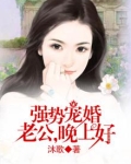 强宠娇妻:晚安:老公大人