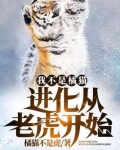我不是橘猫进化从老虎开始百度百科
