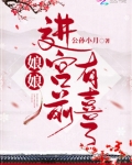 娘娘进宫前有喜了孩子是谁的