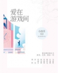 爱在游戏间 小四月