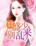 盛少独宠:娇妻萌萌哒
