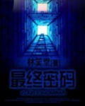 最终密码小说