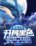 神奇宝贝之开局获得裂空座