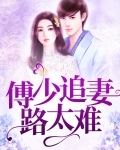 小说傅少追妻套路深免费阅读全文