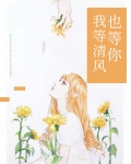 我等清风也等你小说
