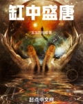 缸中盛唐小说TXt