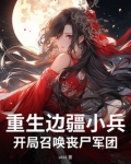 重生边疆小兵，开局召唤丧尸军团