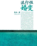 流行性婚变书籍