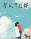风吻过你的脸我吻过风