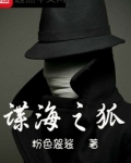 谍海之狐免费下载小说