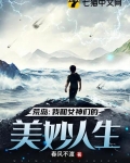 我和女神的荒岛生存小说