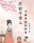 庄妃小说