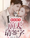 婚如纸书前夫请签字
