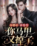 闪婚后，宋先生你的马甲又掉了