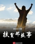 扶贫那些事儿读后感500字