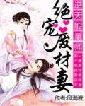 逆天能量师绝宠废材妻