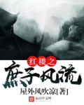 红楼之庶子风流
