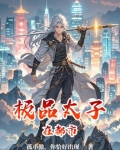 极品太子在都市 李轩辕小说傲天在那一张