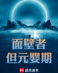 面壁者，但元婴期