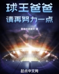 球王爸爸,请再努力一点免费