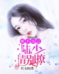 陆少婚不由你