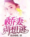 重生娇妻别想逃朴灿烈