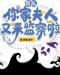 司队，你家夫人又来监察啦