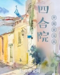 四合院,开局去当兵 流淌的冰全文免费