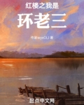 红楼之贾环穿越了