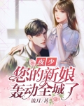 夜少是哪个小说免费