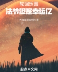 轮回乐园中fate的章节