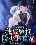 闪婚之后的小说