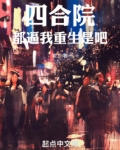 四合院:我傻