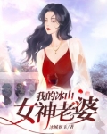 我的冰山女神老婆