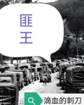 匪王传奇电视剧