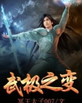 武极改造